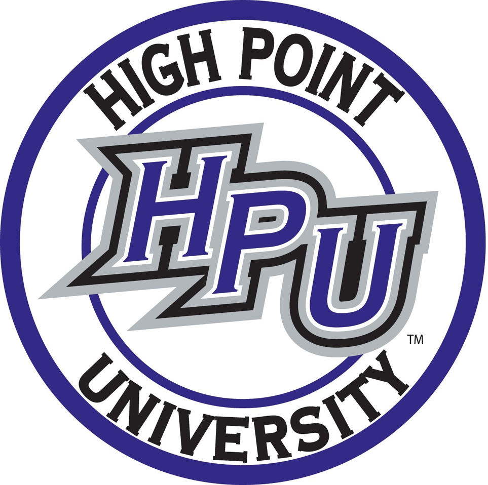 High Point Panthers 2004-Pres Alternate Logo t shirts DIY iron ons v4